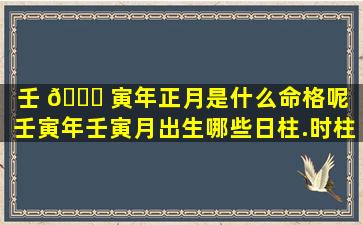 壬 🕊 寅年正月是什么命格呢（壬寅年壬寅月出生哪些日柱.时柱吉利）